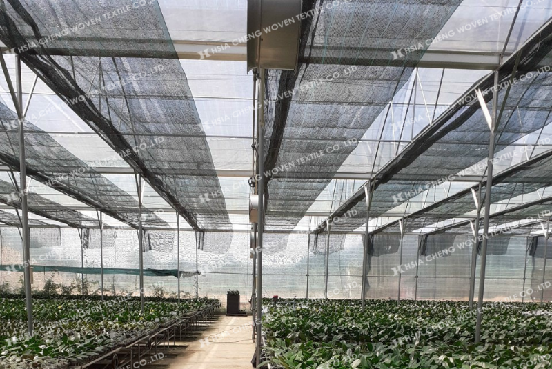 Lưới che nắng dệt thoi APON phù hợp mọi mô hình