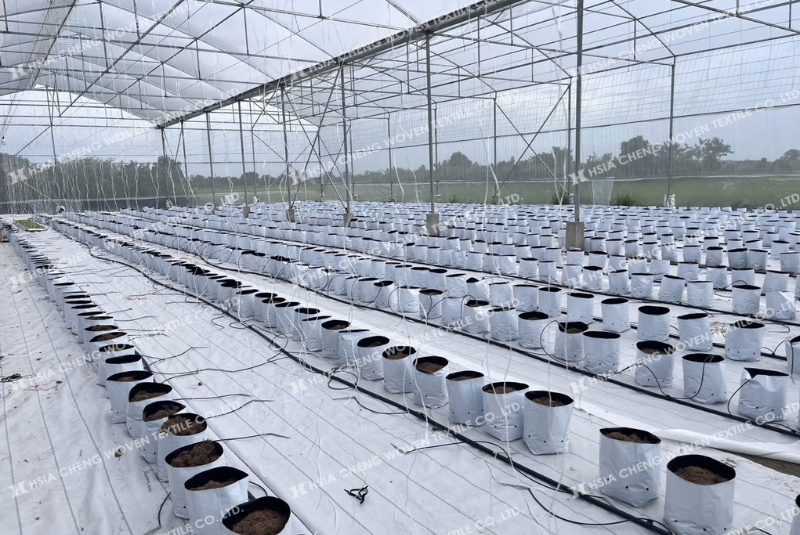 Bạt phủ chống cỏ APON - Phù hợp mọi mô hình nông nghiệp