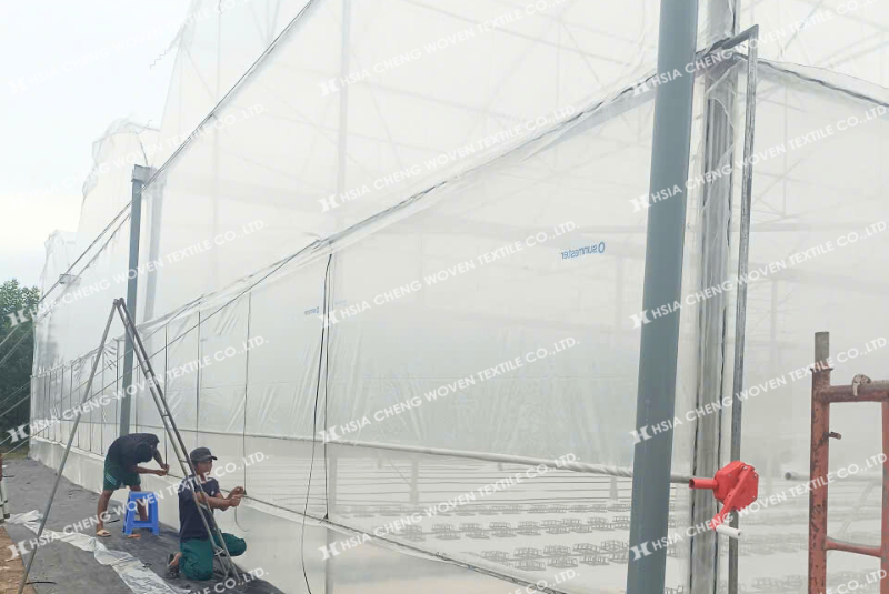Màng nhà kính Sun Master phù hợp mọi mô hình nông nghiệp Màng nhà kính Sun Master phù hợp mọi mô hình nông nghiệp