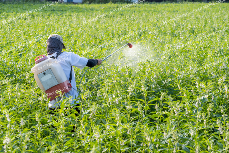 Nên ưu tiên phòng chống sâu bệnh không dùng hóa chất để bảo vệ sức khỏe Nên ưu tiên phòng chống sâu bệnh không dùng hóa chất để bảo vệ sức khỏe