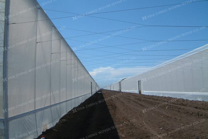 Lưới chắn côn trùng được sử dụng rộng rãi trong nông nghiệp Lưới chắn côn trùng được sử dụng rộng rãi trong nông nghiệp