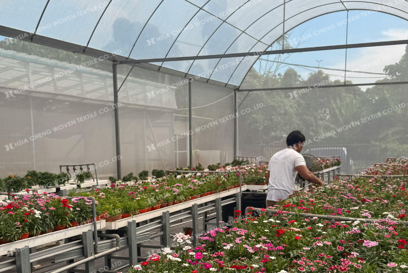 Lưới chắn côn trùng trong mô hình trồng hoa Lưới chắn côn trùng trong mô hình trồng hoa