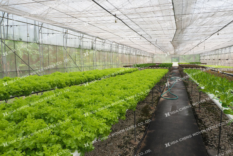 Lưới che nắng dệt thoi phù hợp đa dạng loại cây trồng