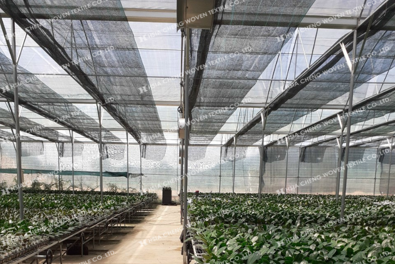 Lưới che nắng vừa chống nóng hiệu quả vừa tiết kiệm chi phí