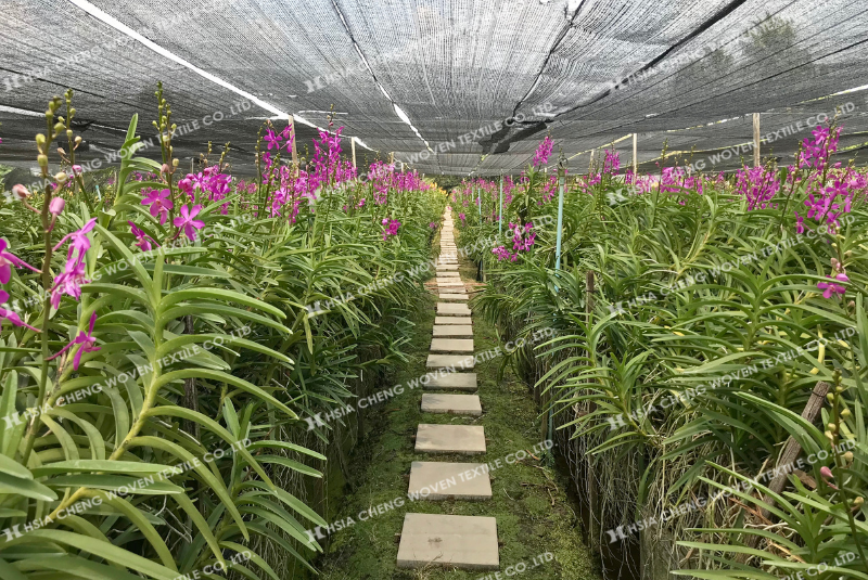 Lưới che nắng dệt thoi APON vừa bảo vệ vừa hỗ trợ lan quang hợp ổn định