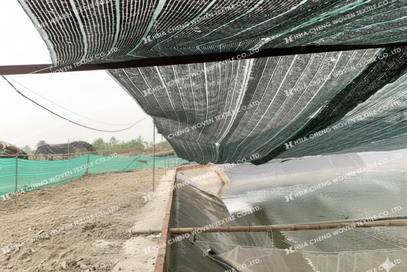 Lưới che nắng dệt thoi APON hướng đến mô hình nuôi an toàn, bền vững Lưới che nắng dệt thoi APON hướng đến mô hình nuôi an toàn, bền vững