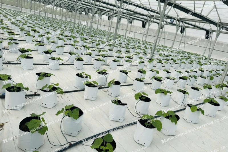 Kết hợp hệ thống tưới nhỏ giọt để phát huy tối đa hiệu quả Kết hợp hệ thống tưới nhỏ giọt để phát huy tối đa hiệu quả