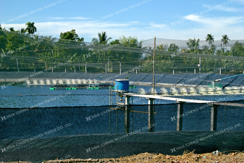 Nên kết hợp đồng bộ các biện pháp kỹ thuật để đảm bảo chất lượng ốc hương Nên kết hợp đồng bộ các biện pháp kỹ thuật để đảm bảo chất lượng ốc hương