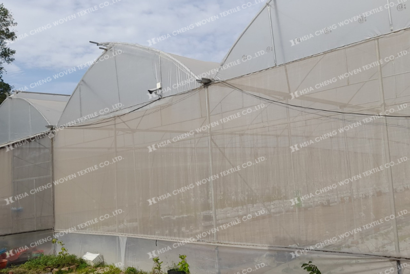 Vi khí hậu ổn định hơn khi sử dụng lưới chắn côn trùng Vi khí hậu ổn định hơn khi sử dụng lưới chắn côn trùng