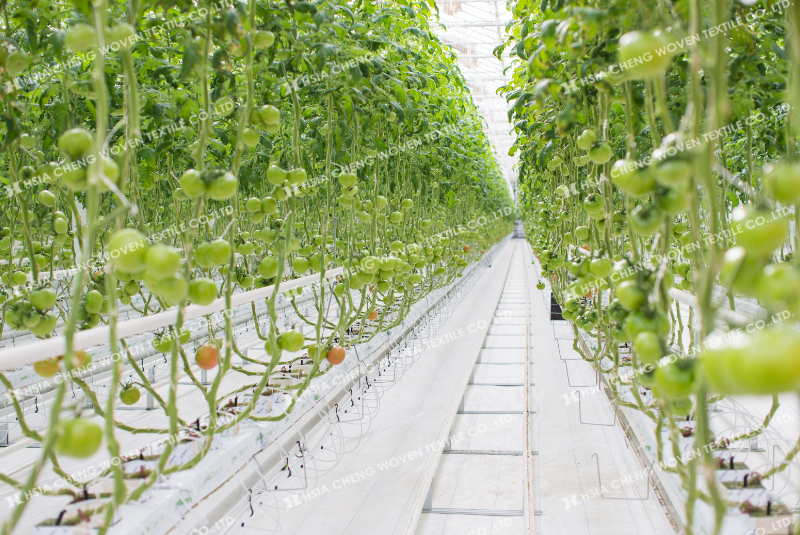 Bạt phủ chống cỏ APON phù hợp nhiều mô hình canh tác nông nghiệp Bạt phủ chống cỏ APON phù hợp nhiều mô hình canh tác nông nghiệp