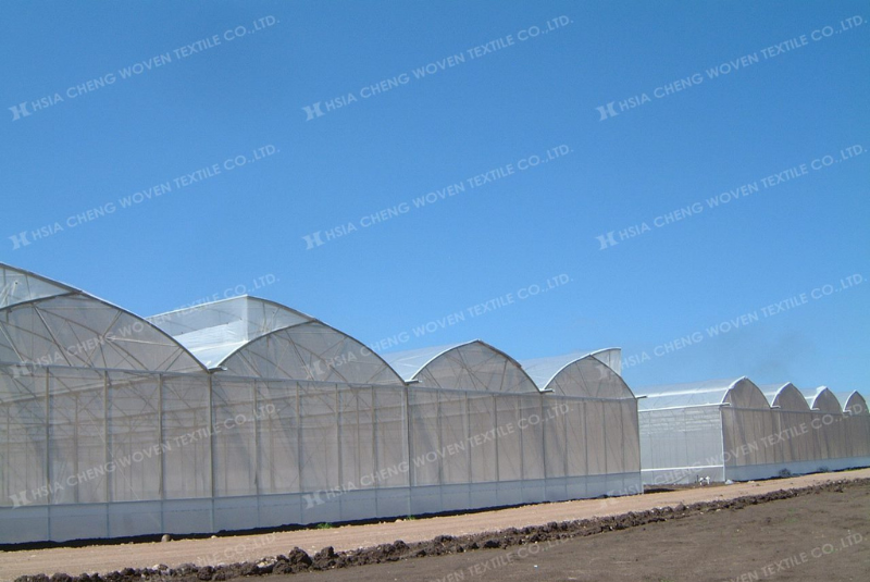 Lưới chắn côn trùng APON - Lựa chọn tối ưu cho nông nghiệp CNC