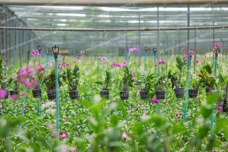 Kết hợp hệ thống tưới hợp lý để tối ưu chống nóng 