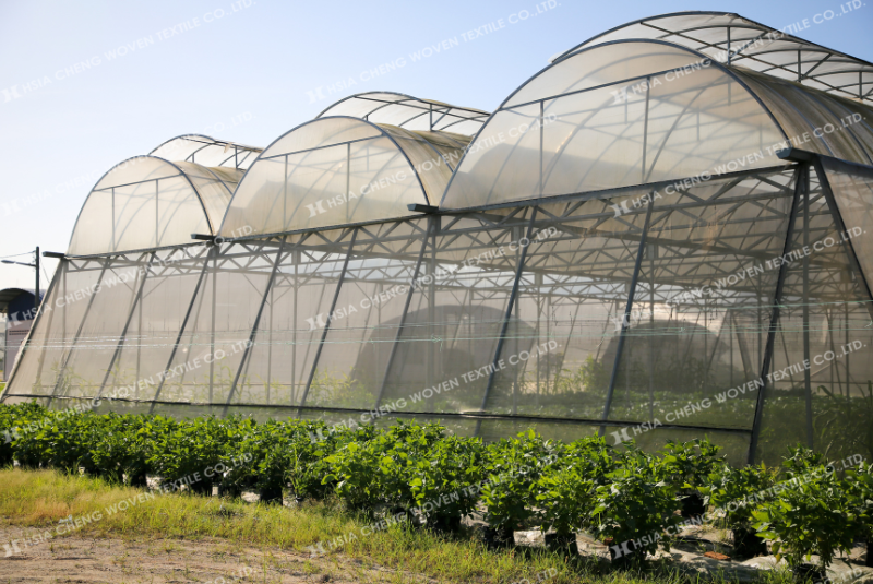 Lưới chống côn trùng phải đảm bảo tính thoáng khí cho cây trồng Lưới chống côn trùng phải đảm bảo tính thoáng khí cho cây trồng