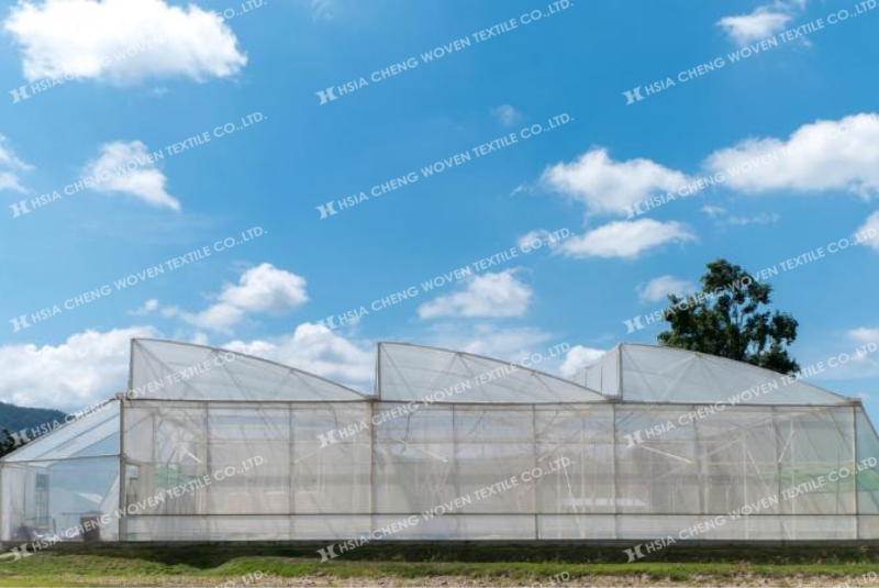 Đầu tư vào hệ thống lưới chắn côn trùng là bước đi chiến lược cho nhà nông Đầu tư vào hệ thống lưới chắn côn trùng là bước đi chiến lược cho nhà nông