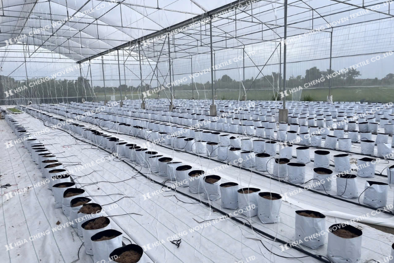 Lưới chắn côn trùng APON phù hợp mọi mô hình nông nghiệp Lưới chắn côn trùng APON phù hợp mọi mô hình nông nghiệp