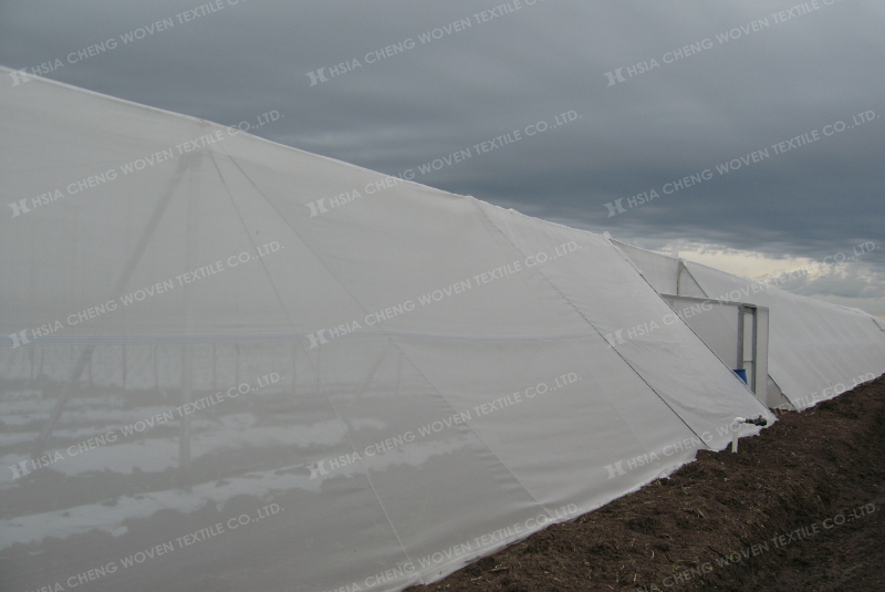 Lưới chắn côn trùng kiểm soát sâu bệnh theo hướng an toàn