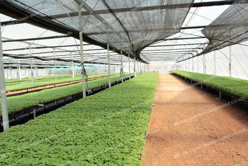 Lưới che nắng cho nhà kính - giải pháp kinh tế, bền vững cho nhà nông