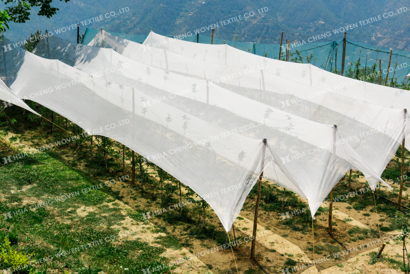 Lưới che nắng dệt kim được ứng dụng rộng rãi trong nông nghiệp