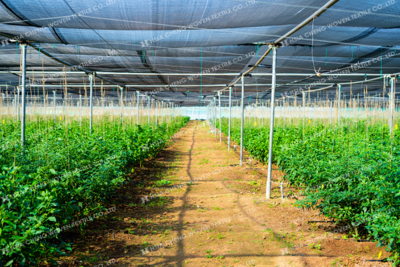 Phụ gia chống tia UV giúp kéo dài tuổi thọ lưới che nắng