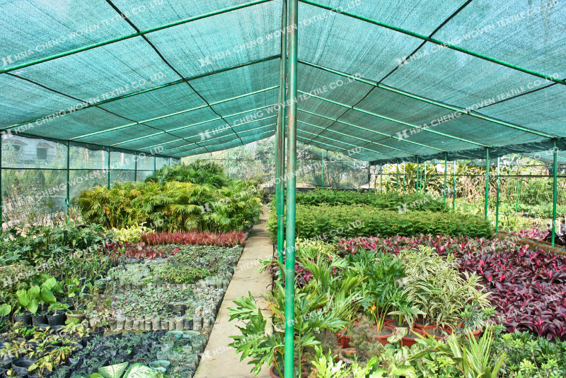 Lưới che nắng dệt kim màu xanh được sử dụng khá phổ biến