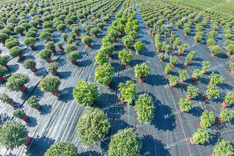 bạt chống cỏ HDPE nông nghiệp