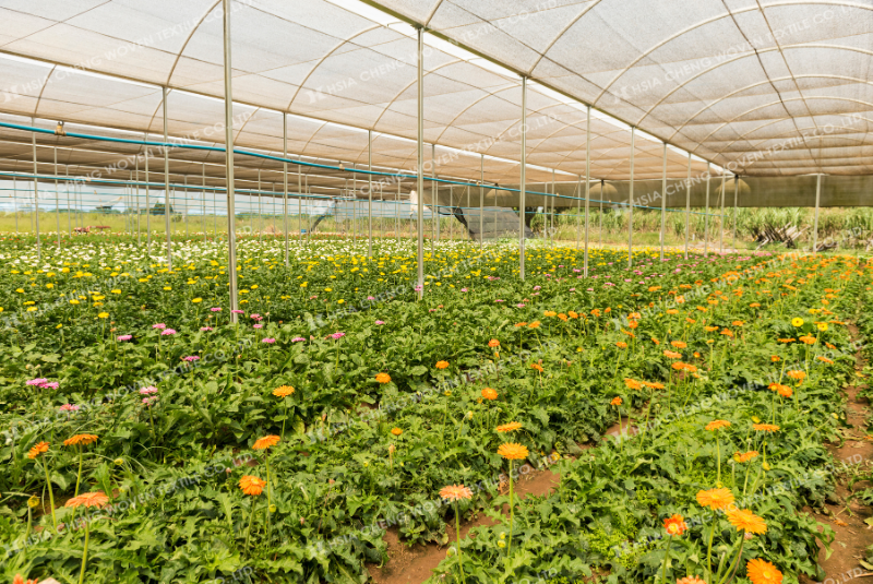 Lưới che nắng APON ứng dụng rộng rãi trong nông nghiệp