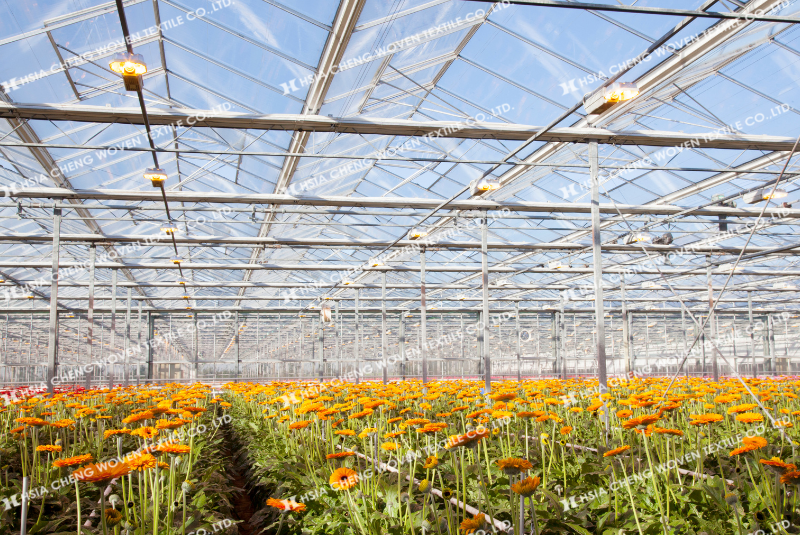 Màng nhà kính Plastika Kritis Sun Master phù hợp cho mọi mô hình nông nghiệp