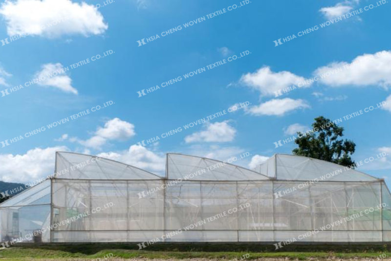 Nên kiểm tra độ kín và kết hợp thông gió cho nhà kính để đạt hiệu quả tối ưu