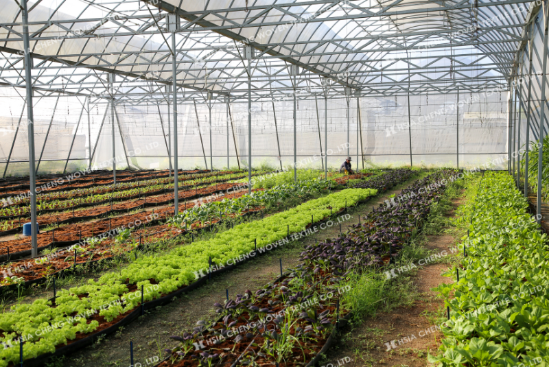 Lưới chắn côn trùng đồng hành cùng nông nghiệp bền vững