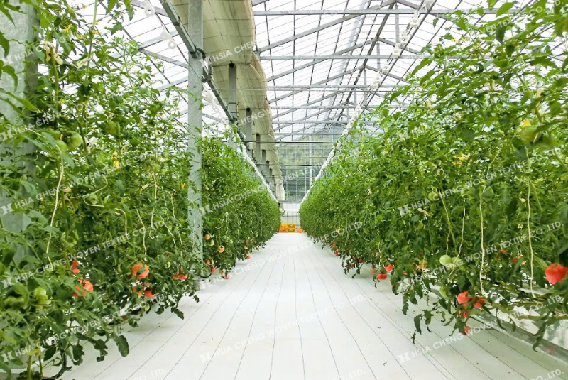 Bạt phủ chống cỏ APON