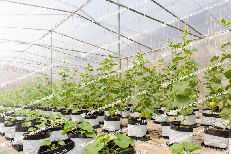 Màng nhà kính chất lượng có tuổi thọ trung bình cao giúp tiết kiệm chi phí đáng kể