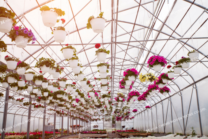 Màng truyền sáng là giải pháp hiệu quả cho nông nghiệp CNC