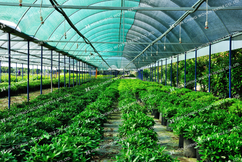 Chọn lưới che nắng dệt kim màu xanh hoặc đen tùy vào nhu cầu sử dụng