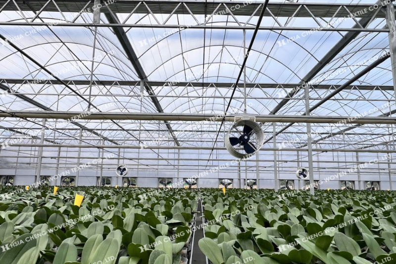 Nên kết hợp hệ thống tưới nhỏ giọt, quạt thông gió trong nhà kính hệ thống tưới và thông gió trong nhà kính trồng hoa