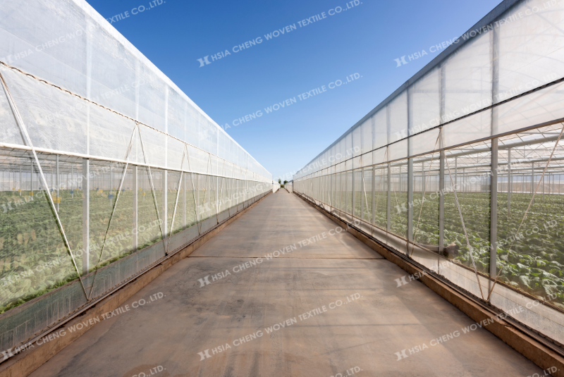 Lưới chắn côn trùng phù hợp hầu hết các mô hình nông nghiệp Lưới chắn côn trùng phù hợp hầu hết các mô hình nông nghiệp
