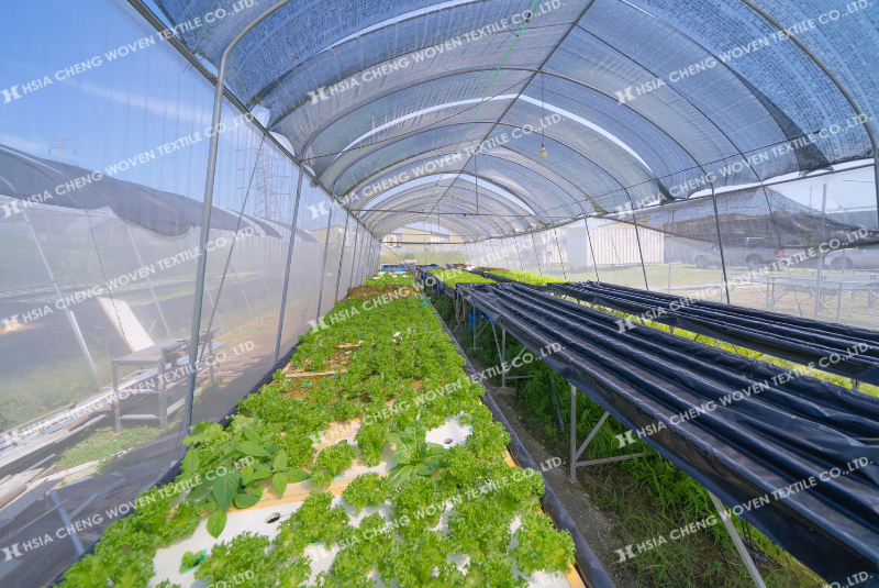 Lưới che nắng dệt thoi vừa che nắng vừa đảm bảo thông thoáng tốt cho cây