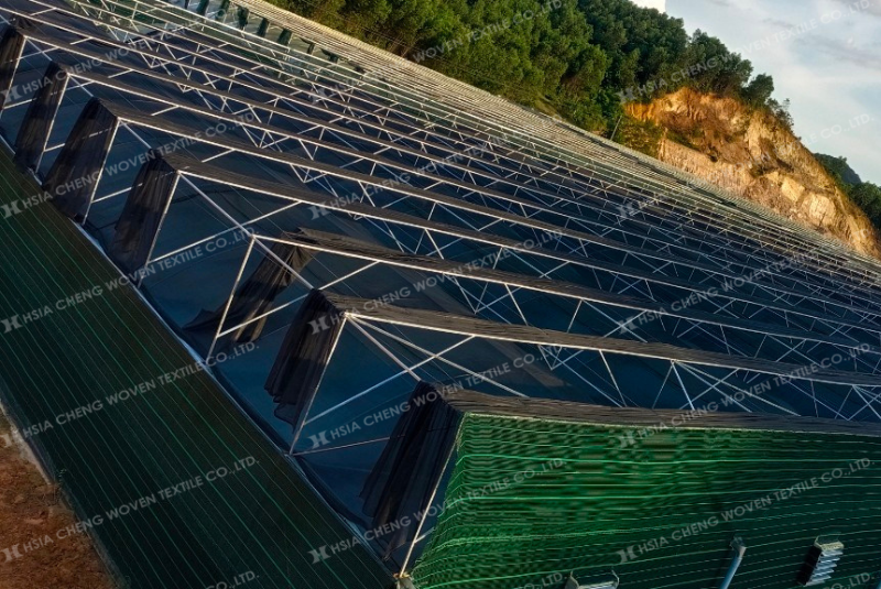 Màu lưới hay tỷ lệ che phủ và chất lượng sợi đều rất quan trọng khi chọn lưới che nắng