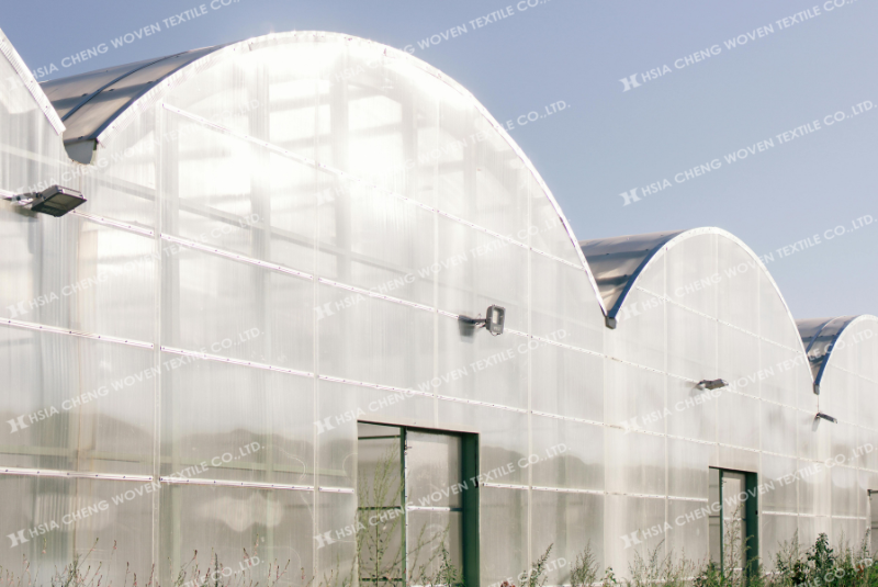 Nhà kính bí và nóng 