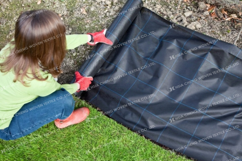 Bạt phủ chống cỏ - lưới chống cỏ giúp ngăn cỏ dại phát triển Bạt phủ chống cỏ - lưới chống cỏ giúp ngăn cỏ dại phát triển