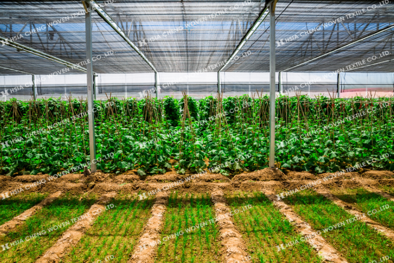 Lưới che nắng dệt kim HDPE APON - ứng dụng linh hoạt, sử dụng lâu dài