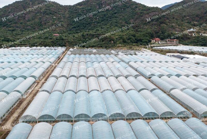 Sai lầm khi chọn màng nhà kính có thể ảnh hưởng nghiêm trọng đến kinh tế