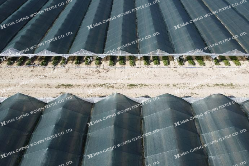 Lưới che nắng dệt kim HDPE phù hợp với khu vực thường xuyên có gió lớn