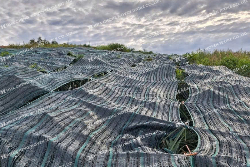 Lưới che nắng giúp điều tiết vi khí hậu và  giảm cường độ nắng