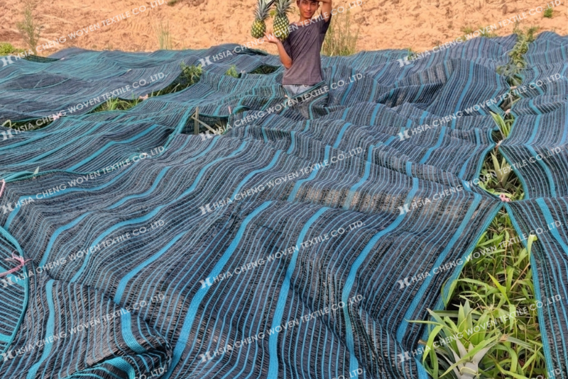 Lưới che nắng dệt thoi APON phù hợp nhiều mô hình công tác