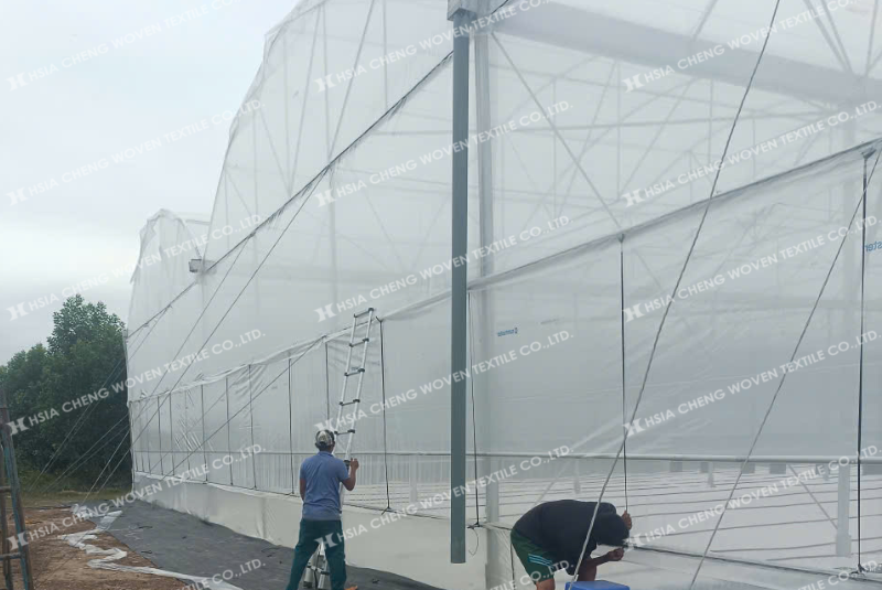 Nên lắp đặt màng nhà kính đúng kỹ thuật để tối ưu hiệu quả