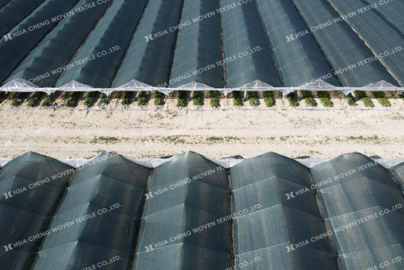 Lưới che nắng dệt kim APON độ bền cao, dùng nhiều vụ
