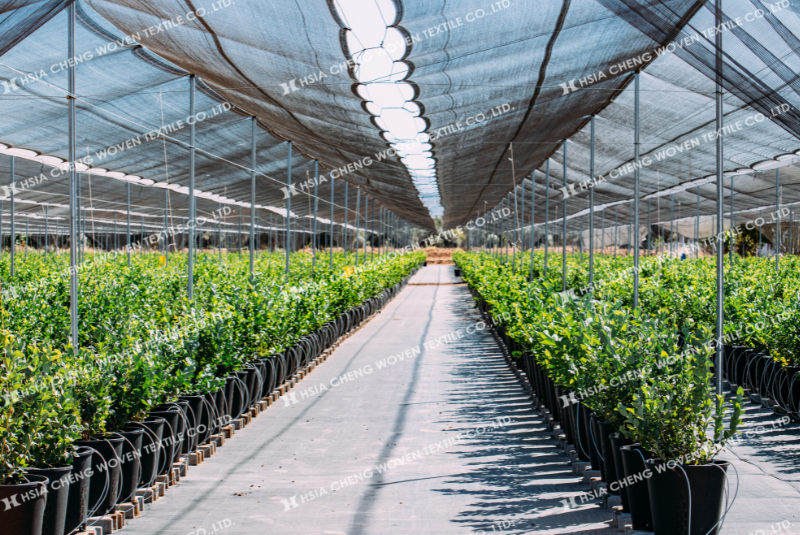 Lắp lưới che nắng dệt kim nên lắp hơi võng để giảm lực gió