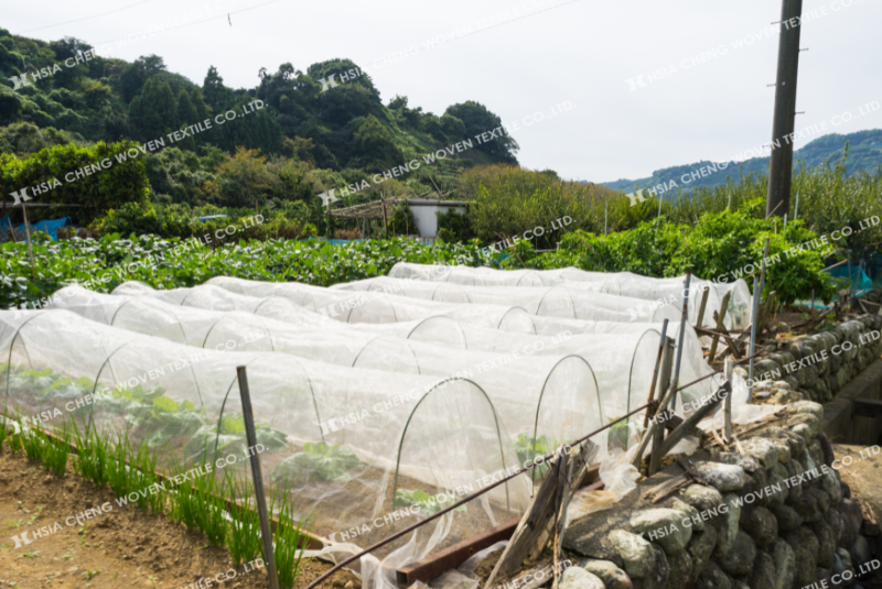 Nên chọn lưới bao nhiêu mesh