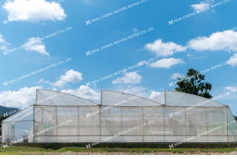 Lưới chắn côn trùng APON ứng dụng đa dạng trong nông nghiệp