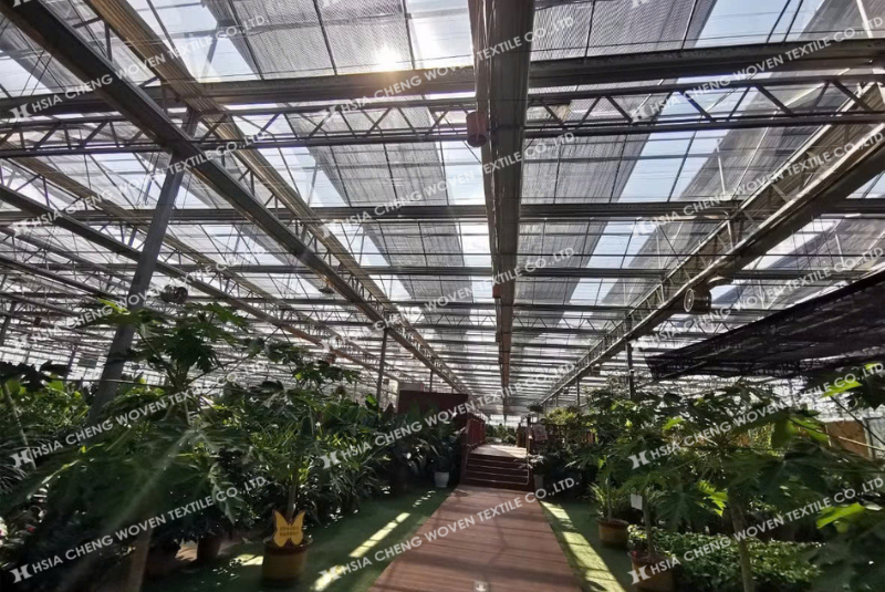 Màng nhà kính Plastika Kritis Sun Master với lưới che nắng APON 